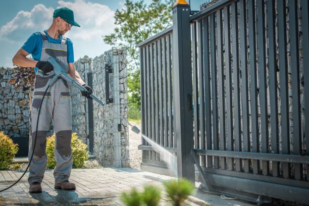 Best Spring Cleaning  in Freeland, MI